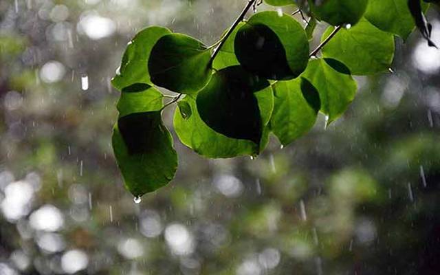 weather update