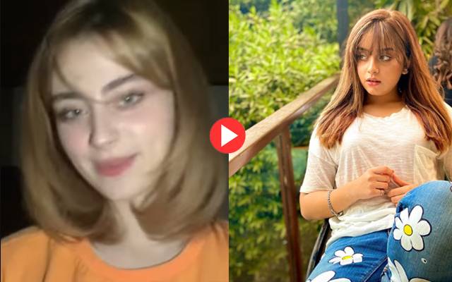 Alizeh Shah resemble Tiktoker
