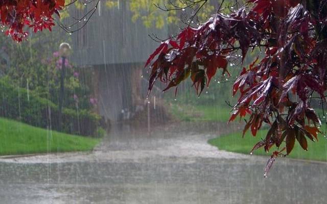 weather update