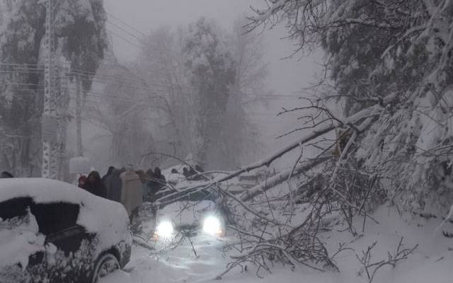 murree weather