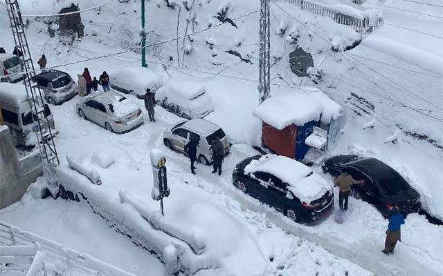 Muree