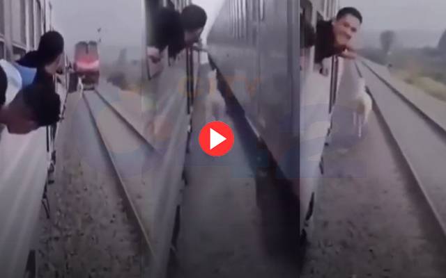 Horse Life Safe miraculously