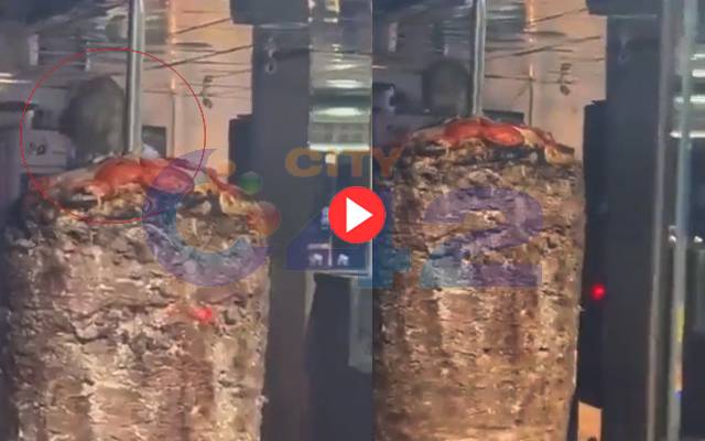 Rat Enjoy Shawarma Party