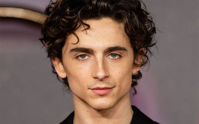 Timothee,Chalamet hollywood hero
