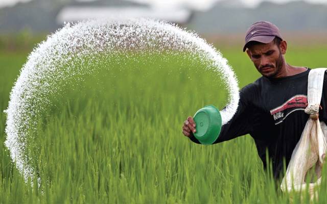 Fertilizers Production in Pakistan