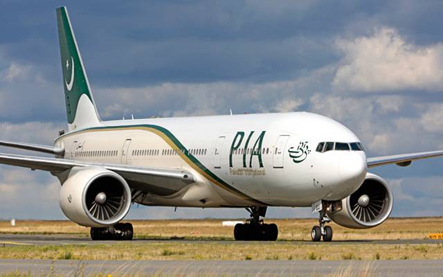 PIA Business Plan