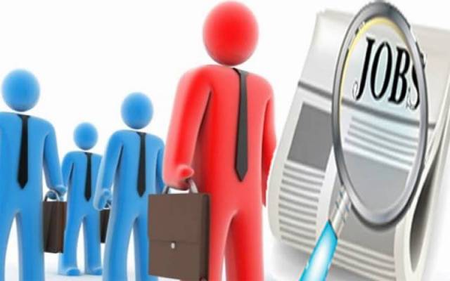 Govt Colleges Jobs