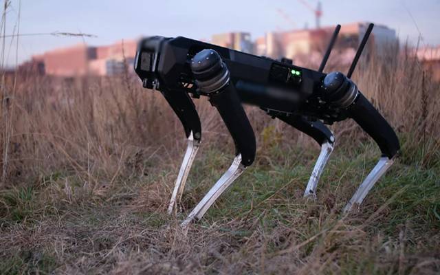 Rebot dogs,on American borders
