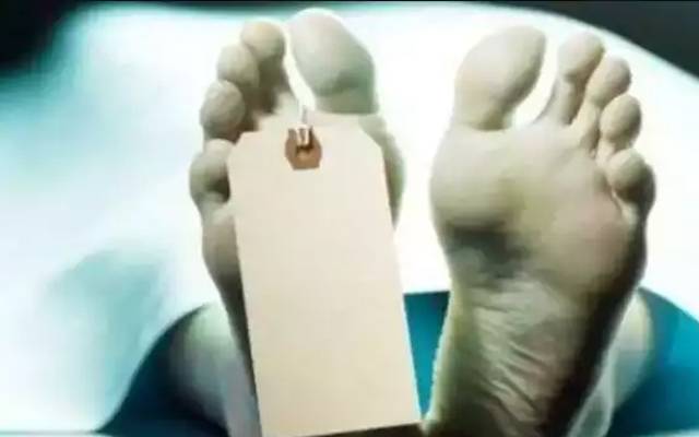 Man killed his brother instead of Bear