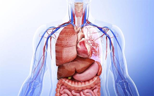 Human Organ and Tissue Transfer Amendment Bill