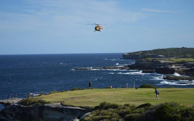 Police find human remains after shark attack in Sydney