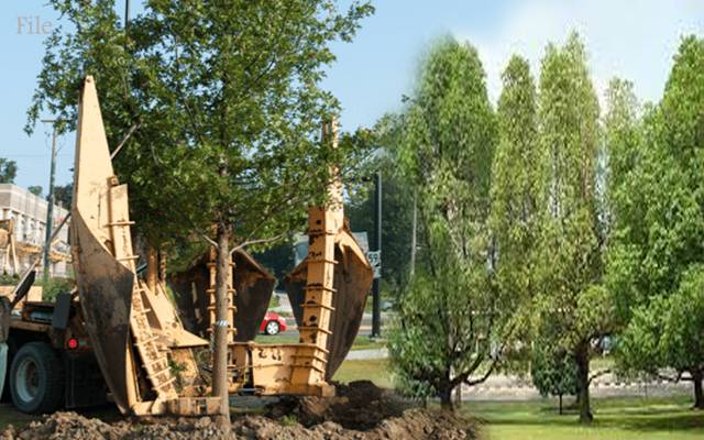 Tree Transplanters 