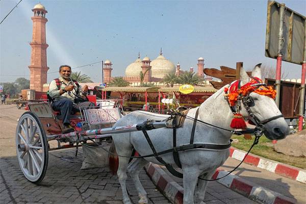 تانگہ لہور دا ہووے تے بھاویں جھنگ دا، لاہور میں تانگے چلیں گے؟