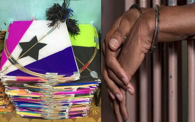 Online Kite Seller