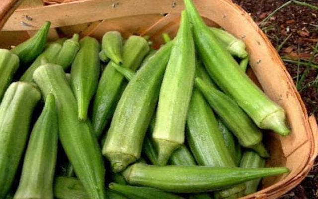 Lady finger benefits