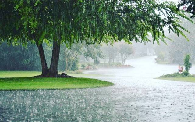 Weather Update