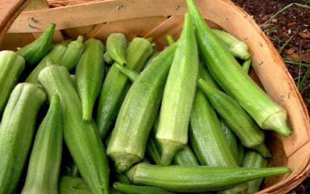 Lady finger,benefits,