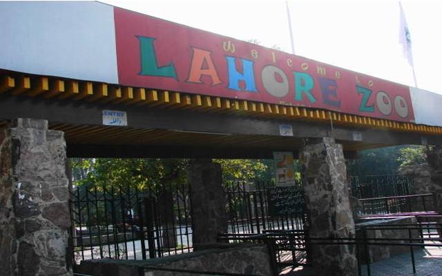 Lahore Zoo Lahore
