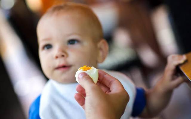 Egg benefits for the children