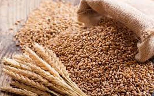 Wheat