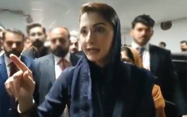  پی ٹی آئی کی جانب سے استعفوں پر مریم نواز نے کیاکہا؟ ویڈیو دیکھیں
