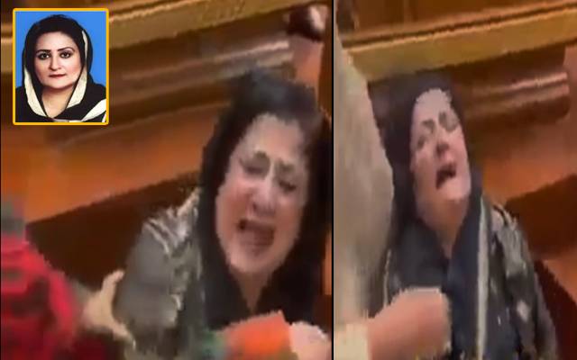 پنجاب اسمبلی ہنگامہ آرائی ؛ پی ٹی آئی کی خاتون ایم پی اے کی روتے ہوئے ویڈیو منظر عام پر 