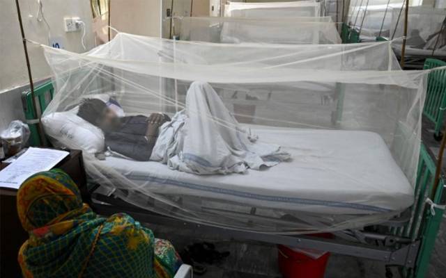 Dengue,two more cases,Meo hospital
