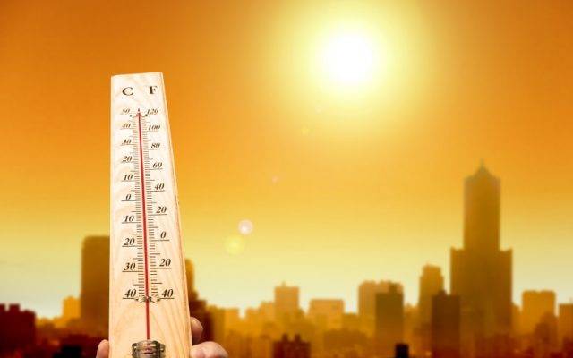 hight temp in city