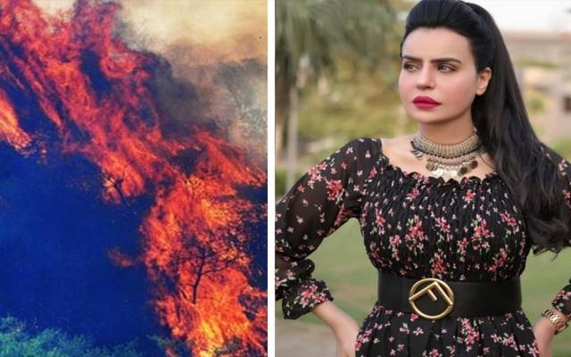 ٹِک ٹاکر اسٹار ڈولی نے جنگل میں آگ لگانے کے الزامات کی تردید کردی