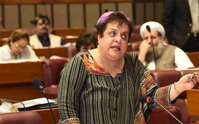 سابقہ وزیر ڈاکٹر شیریں مزاری کو گھر کے باہر سے اٹھا لیا گیا 