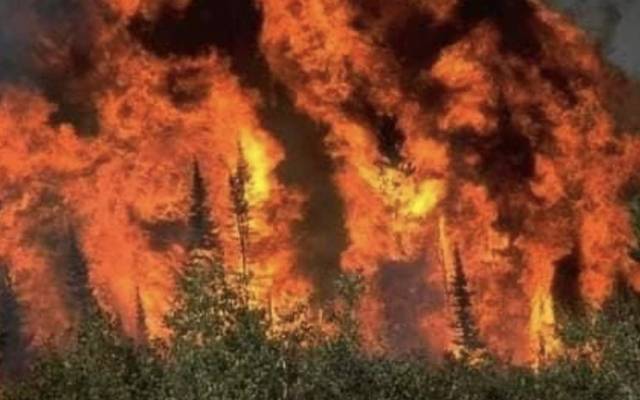 sherani forest fire
