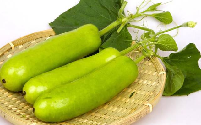 Best,vegitable,in,summer