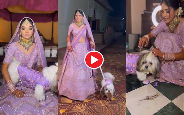 indian bride entry with pet dog 