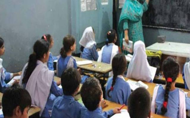 School education department,educators