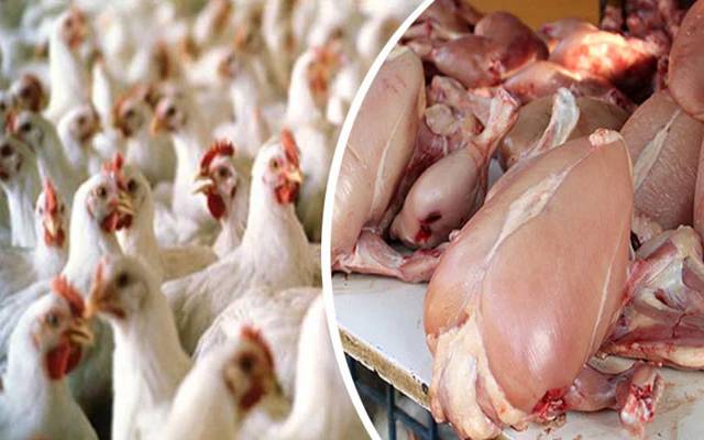 گوشت کی قیمت میں بڑی کمی