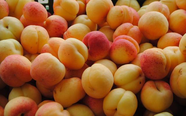  fruit apricot benefits,City42