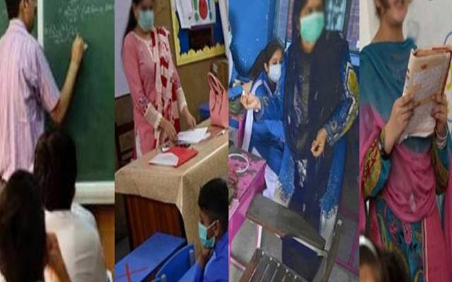 Govt Teachers