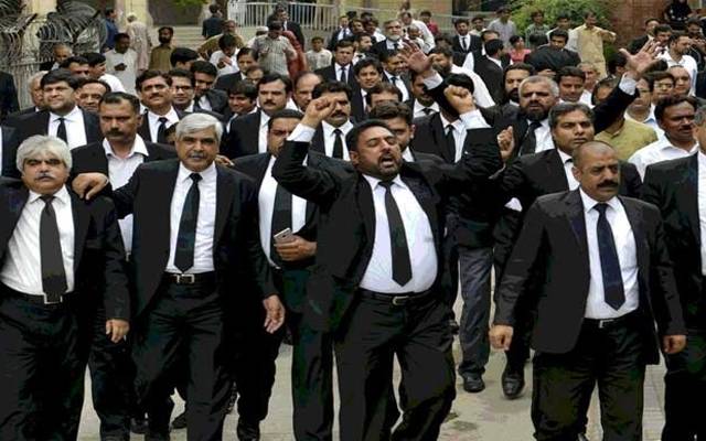 lawyers