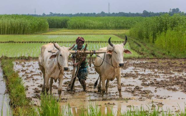 پنجاب حکومت کا کسانوں کو بڑی سہولت دینے کا فیصلہ
