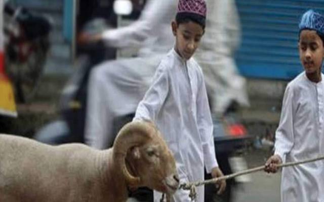 عید الاضحیٰ کب ہوگی ؟اہم پیشگوئی سامنے آگئی