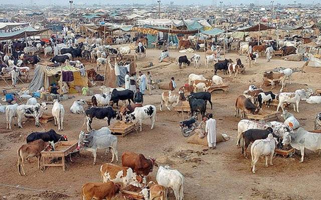 محکمہ داخلہ،دفعہ 144،مخصوص مقامات،جانور،خریدوفروخت