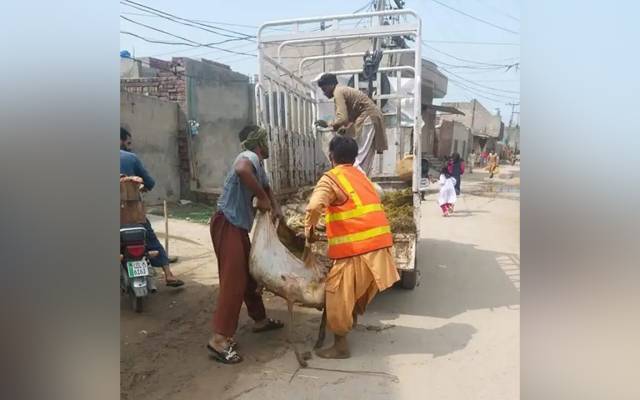 محکمہ بلدیات،مرکزی کنٹرول روم،کوڑا ٹھکانے،عید الاضحی،سٹی42