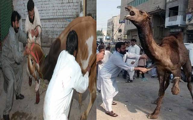 Eid ul Adha 