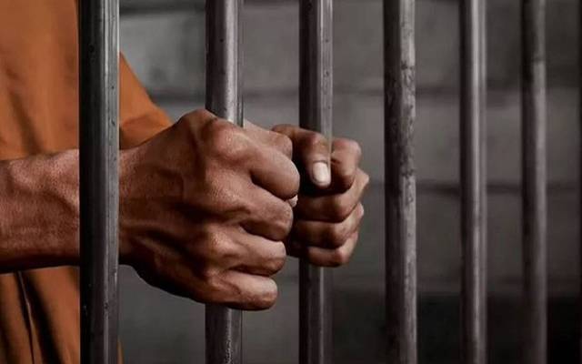 محکمہ جیل خانہ جات،ویڈیو کالز،قیدی،کمپنیاں