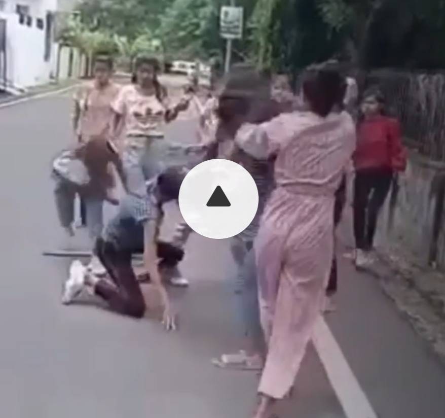 Girl's fight video eachother 