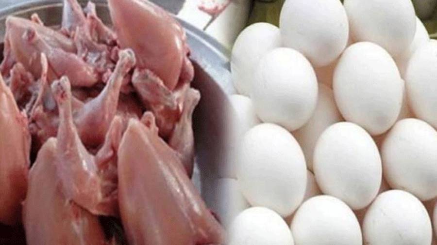 Chicken Meat Today rates