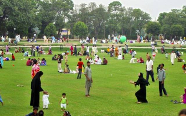 ڈینگی،لاروا،مریض رپورٹ،محکمہ صحت،سٹی42
