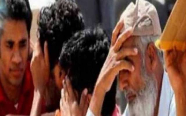 یوٹیلٹی سٹور،غذائی اجناس،دال مسور،کالا چنا،سٹی42