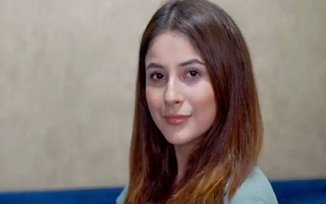 شہناز گل،بالی ووڈ،اداکارہ،سلمان خان،فلم،سٹی42