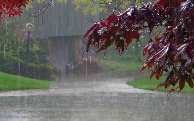 Rain Weather